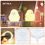 Dimmable Night Light USB Charged