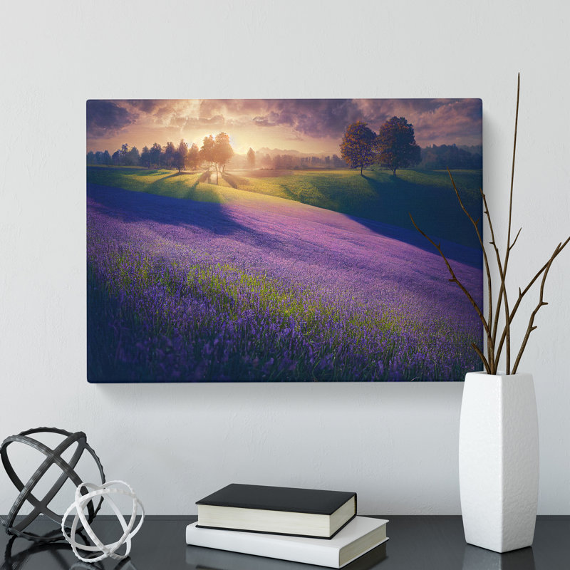Majestic Bluebell Field - Wrapped Canvas Print, 35cm H x 50cm W x 3cm D