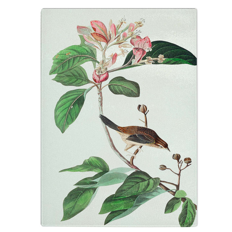 Tempered Glass Bachmans Finch Chopping Board, 28.5 cm W x 39 cm L