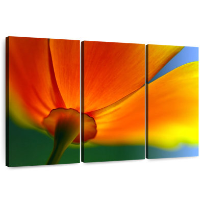 Harnek Summer Blossom