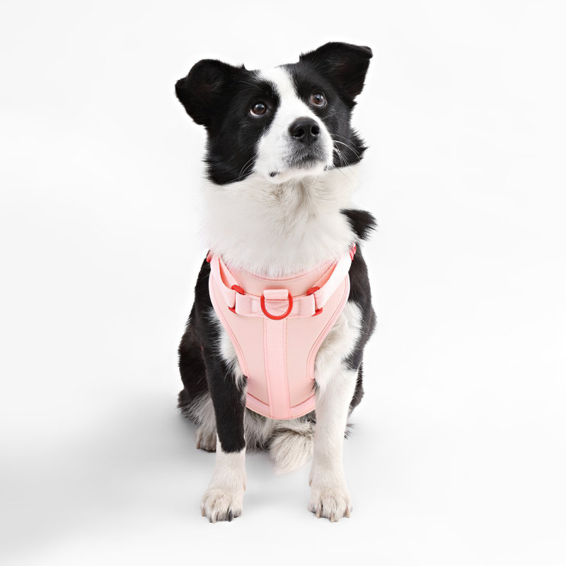 Harnais pour animal de compagnie Arlo, Rose, Grand