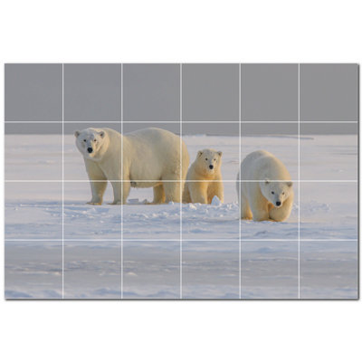 Carreau de céramique décorative 36 po x 24 po PT500112: 6 po x 6 po (ensemble de 24)