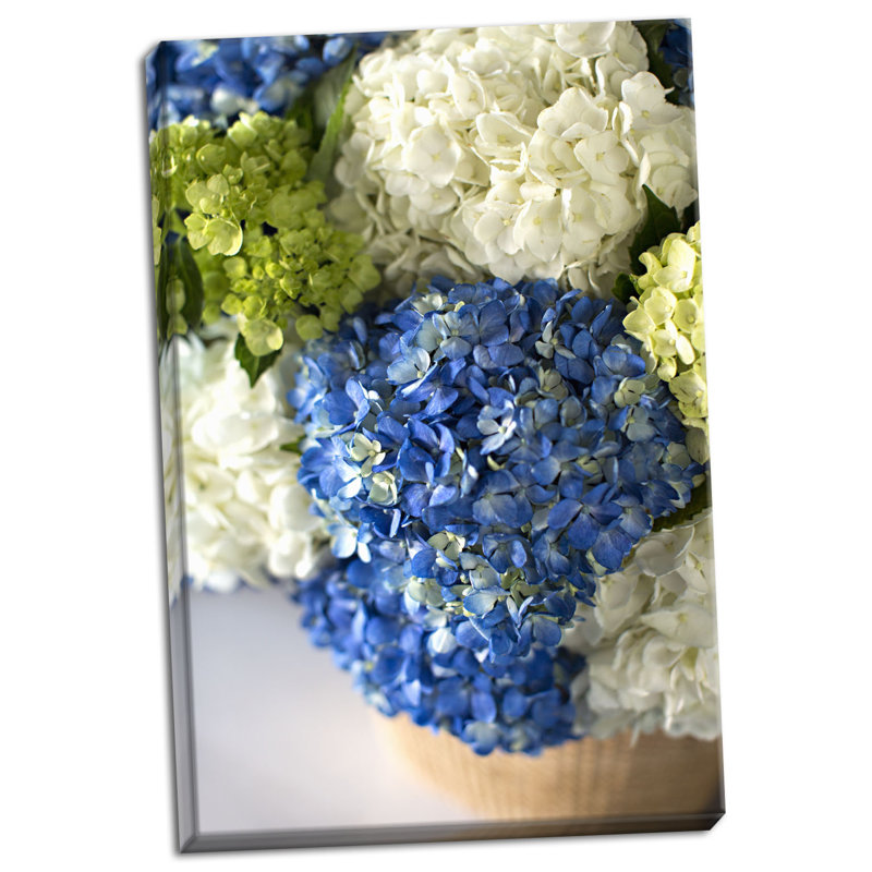 « hortensia bouquet », reproduction de photo sur toile tendue