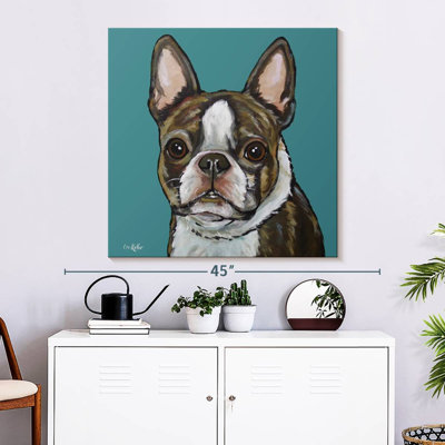 Crowle Sasha Boston Terrier sur sarcelle