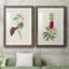 Pretty Pink Botanicals VI - Ensemble de 2 reproductions de cadres photo-1481787736-1481787811