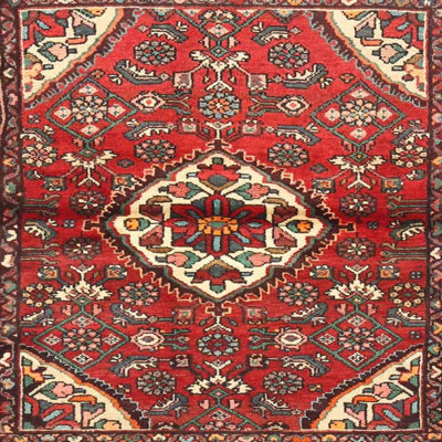 Thionville Oriental Indoor Rug