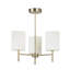 Iyanna 3 - Light Shaded Chandelier