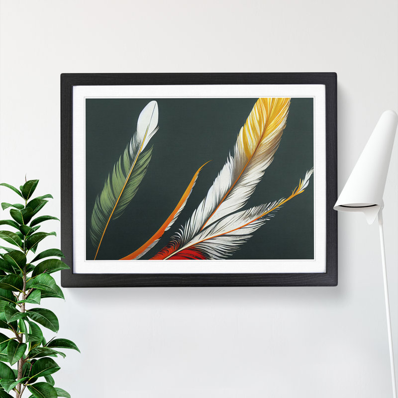 Prime Bird Feathers - Single Picture Frame Print, Black Framed, 46cm H x 64cm W x 2cm D