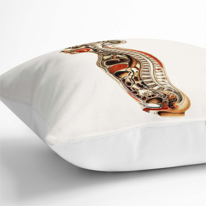 Square Throw Cushion, 55cm H x 55cm W x 20cm D, White