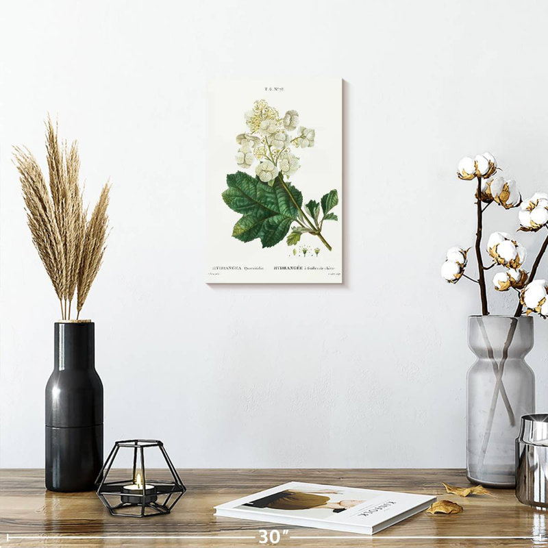 Keiri Oakleaf Hydrangea, 12" H x 8" W