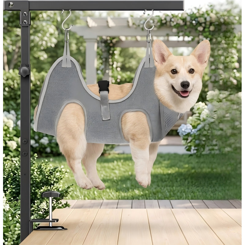 Bras de toilettage réglable pour chien avec pince, hauteur de 26 à 40 po, hamac avec boucle arrière, dispositif de retenue pour chien de petite et moyenne taille