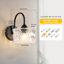 Iron Armed Sconce