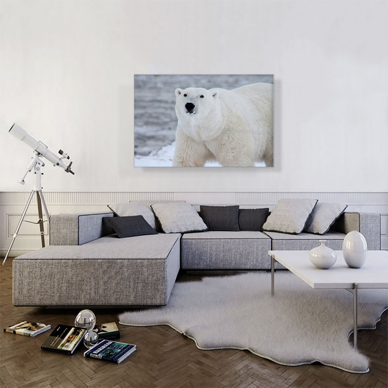 Ours polaire - reproduction de photo sur toile tendue, H 26 po x l 40 po x P 0,75 po
