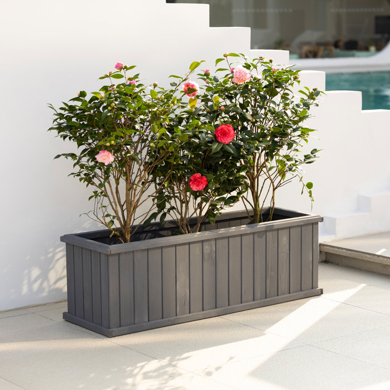 Barros Outdoor Wood Planter Box New house beauty and hope Raised Garden Bed, 38.74cm H x 121.92cm W x 38.74cm D, Grey