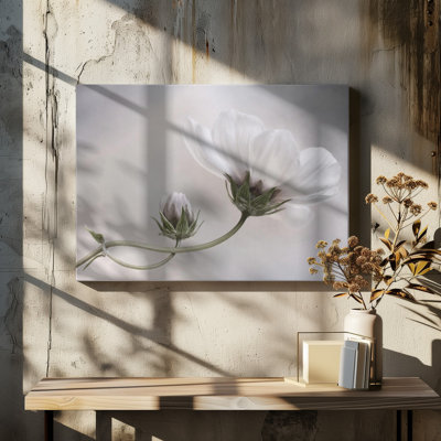 1 Piece Wrapped Canvas Wall Art