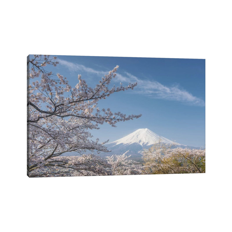 Spring In Japan XXV by Daniel Kordan - Wrapped Canvas Print, 45.72cm H x 45.72cm W x 1.905cm D