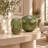 Set of 2 Handblown Glass Table Vases, Sea Green with Light Brown Abstract Design