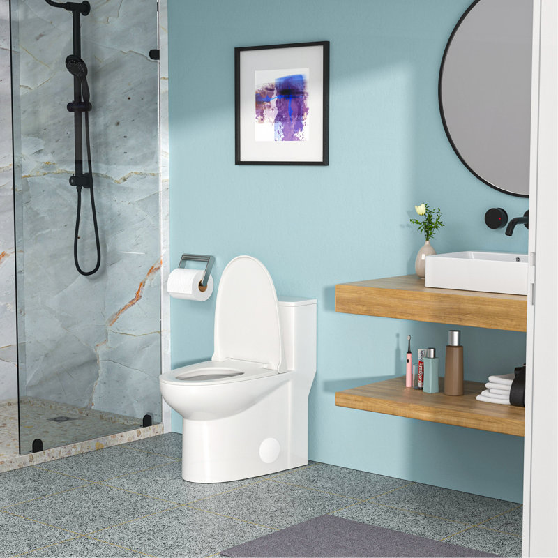 Ceramic One Piece Toilet