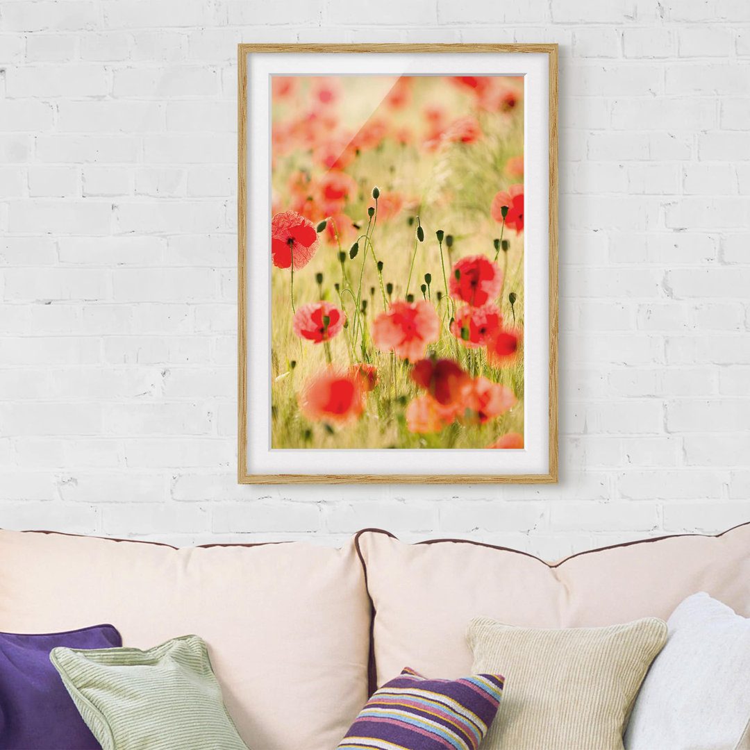 Gerahmtes Poster Sommerliche Mohnblumen