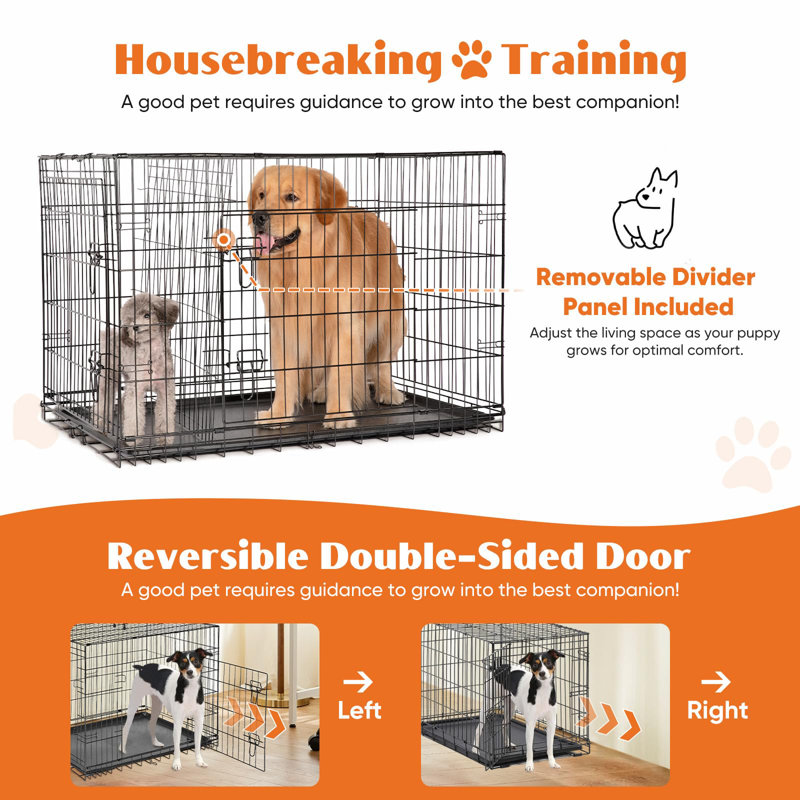 Caisse pour chien pliante pour animaux, H 18,5 po x l 24,4 po x P 16,53 po