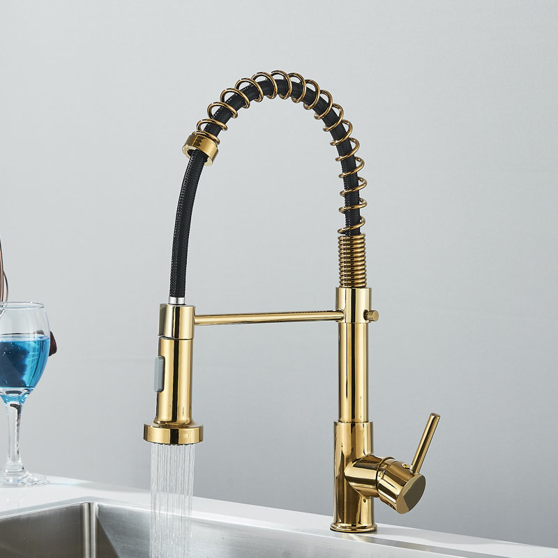 Belfry Kitchen Dejean Kitchen Faucet