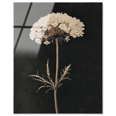 «Darkling Floret II», reproduction d'art acrylique sur toile par Art Remedy