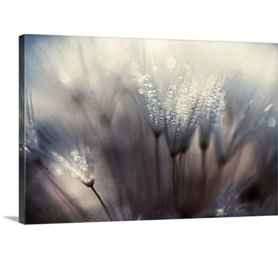 "The Forest" par Thomas Dam, impression sur toile