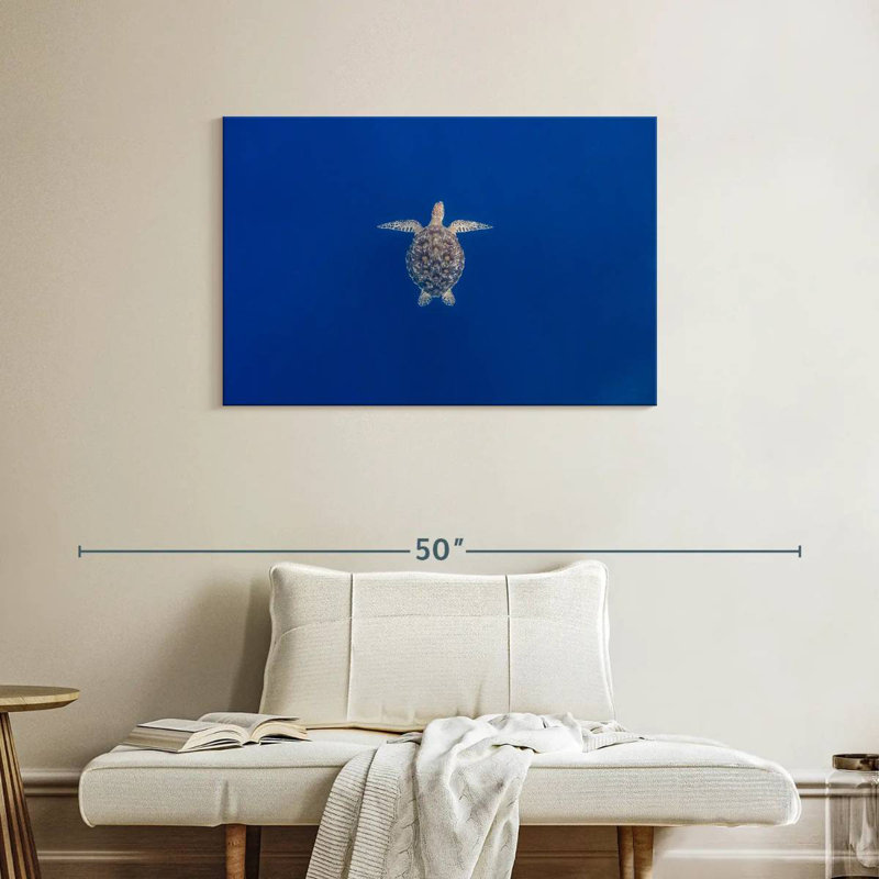 Brampt Blue Sea Turtle, 24" H x 36" W