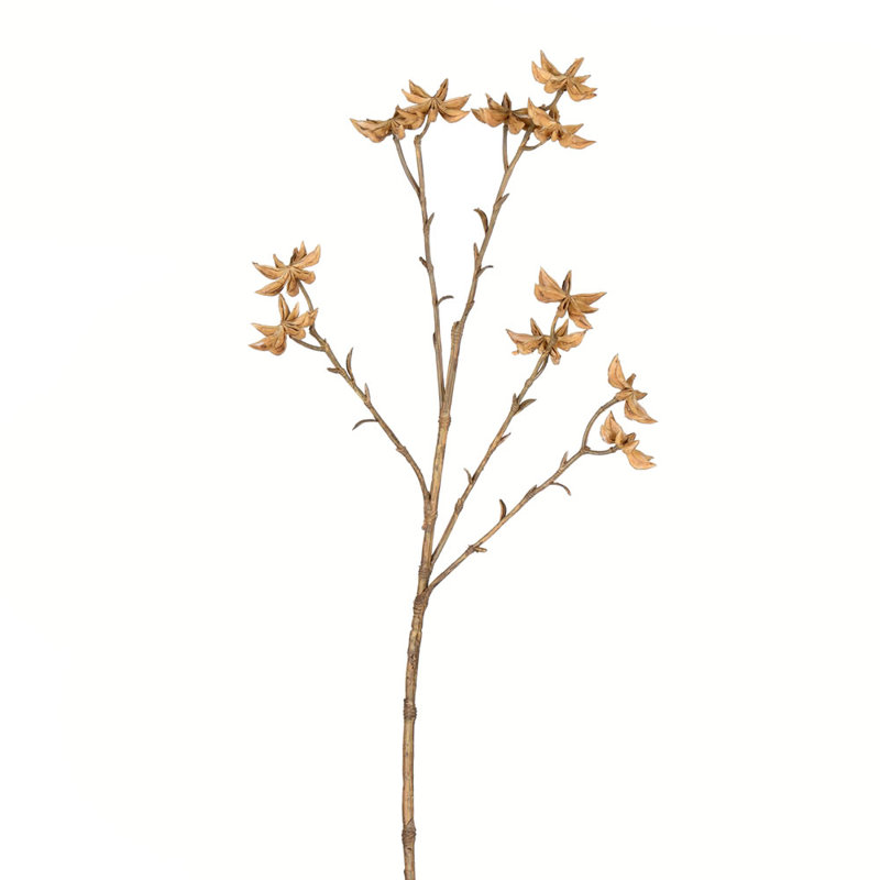 Illicum Arrangement