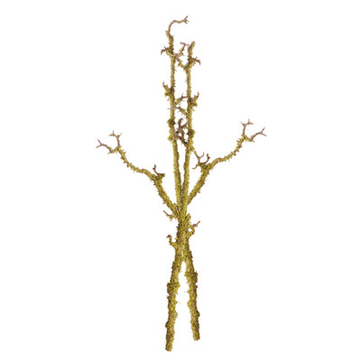 Andress 28 po, ensemble de 2