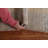 Wool Oriental Indoor Rug