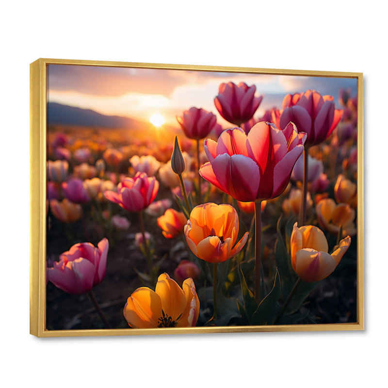 Tulipes «Fields of Color V», reproduction sur toile, H 34 po x l 44 po x P 1,5 po, Cadre flottant doré