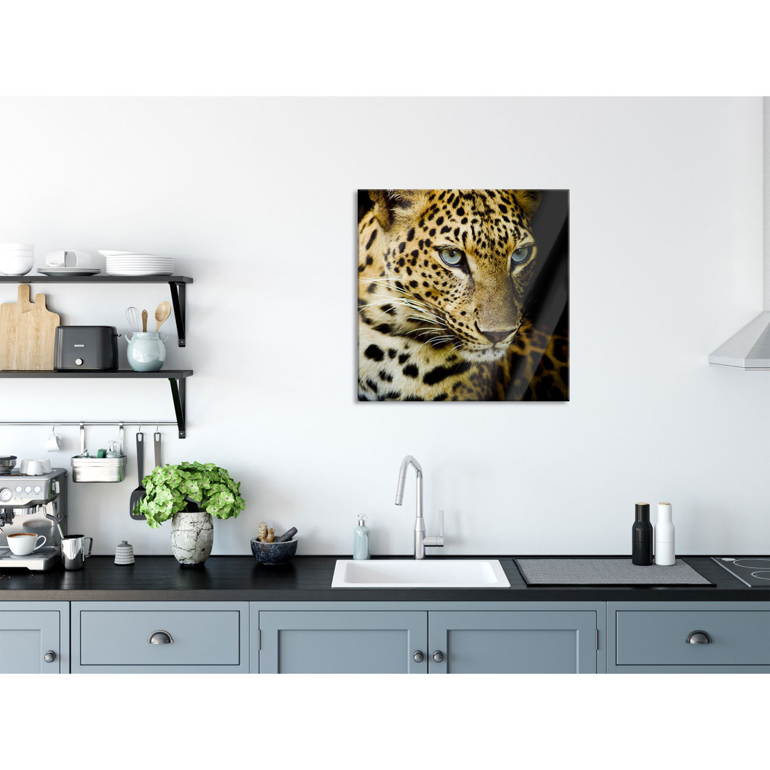 Glasbild Leopard mit blauen Augen