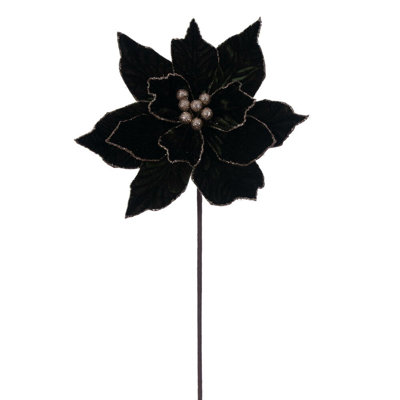 Cleorand Poinsettia Arrangement