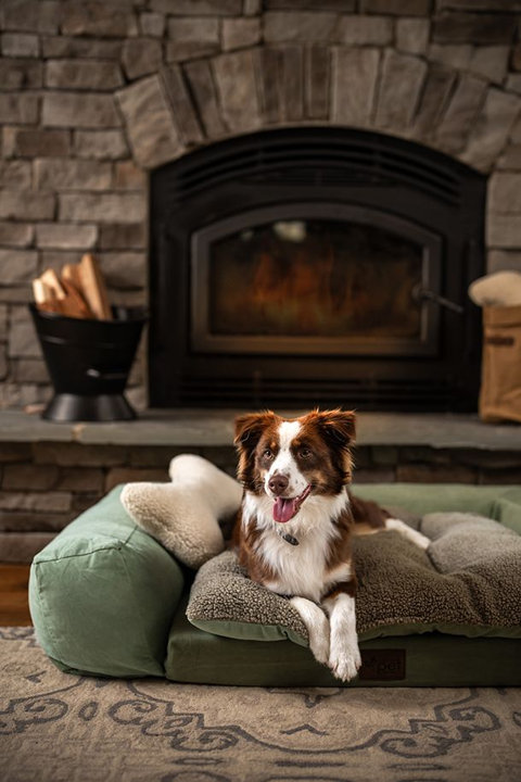 Shop Dog Beds