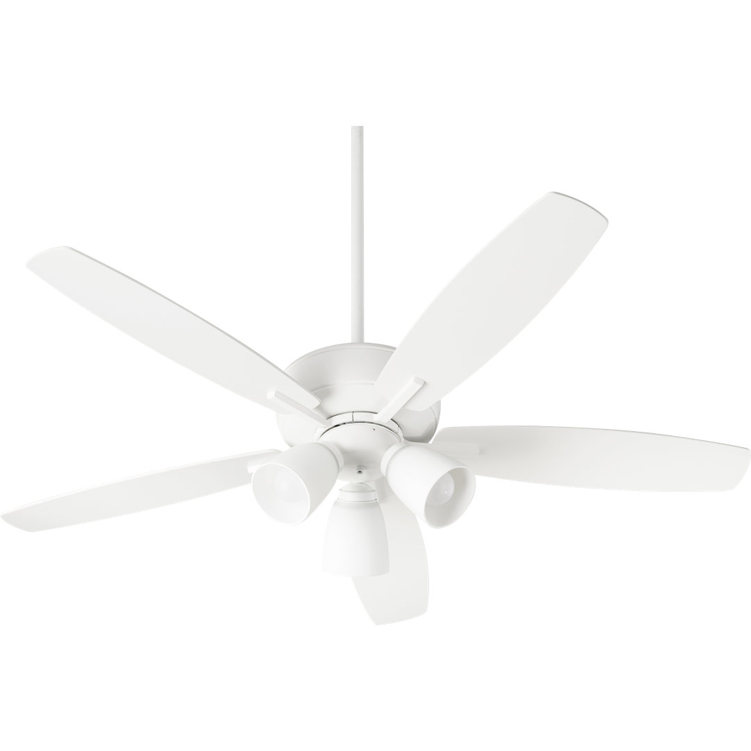 Lancaster 52'' Ceiling Fan with LED Lights Winston Porter 