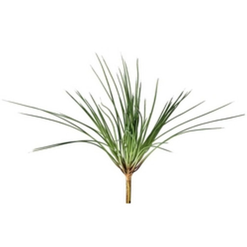 17.5 " H Faux Onion Grass