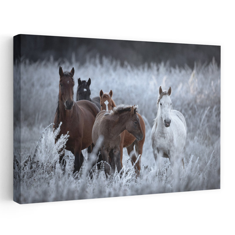 Wild Horses Winter Field Peaceful Serene Abstract Horse Nature Wildlife Wall Art Print 1 Piece Wrapped Canvas Wall Art