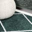 Tapis vert / blanc Bertrice-666644980