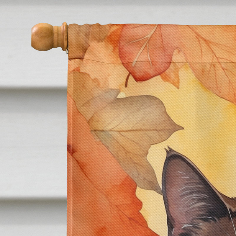 Chat en feuilles d'automne, York chocolat