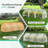 6'x3'x3' Mini Greenhouse-116007939