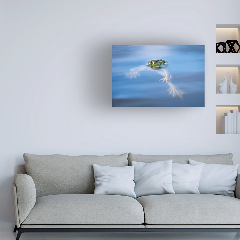 Art sur toile Seth Galewyrick, H 12 po x l 19 po