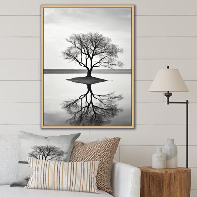 " Tree Rivers Resonance Photography "