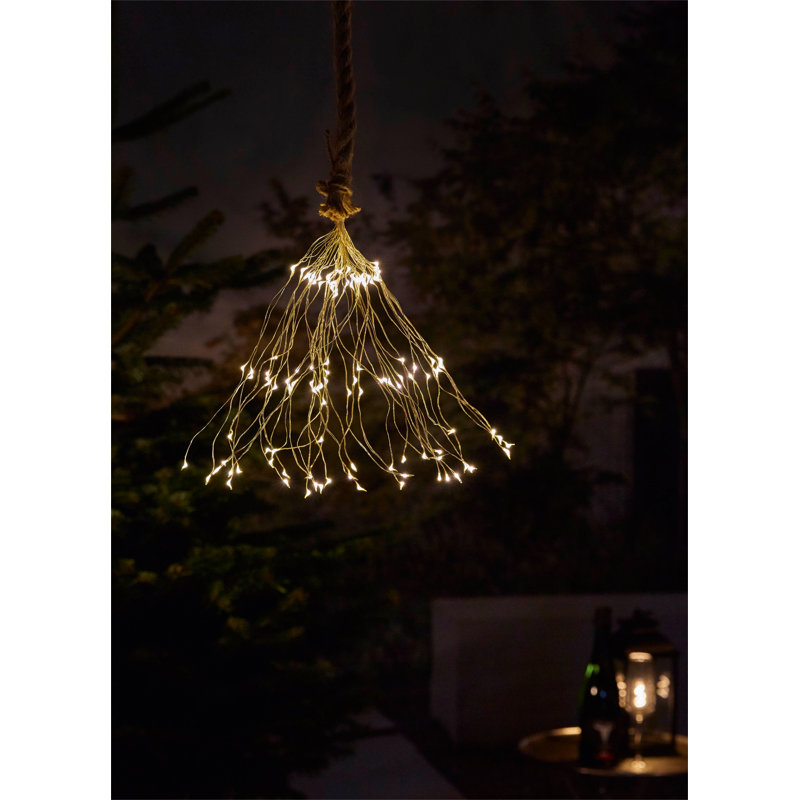Caisley LED Outdoor Pendant