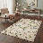 Cogswell Floral Daisy Machine Washable Begie/Green/Blush Indoor Area Rug With Non-Slip Backing-1844741023