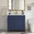 Swarn 36'' Single Bathroom Vanity with Top-1691533236