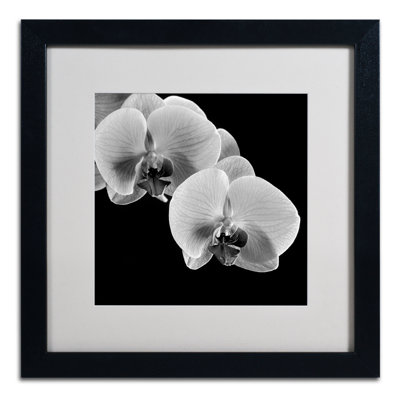Framed Wall Art - Michael Harrison ‘Orchids’ Wall Decor with Matted Frame - Living Room, Kitchen, and Bathroom Art - 16x16