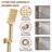 AquaRhapsody Flush Ceiling Mounted Luxury Shower System with 6 Body Jets and LED Lights-81076507