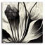 «Flowers Black White 3» par Ray Heere-101672421