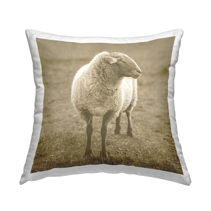 Throw Pillow